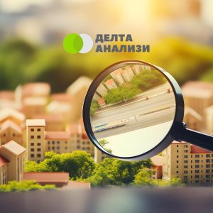 Пазарен анализ Делта 3 Анализи 2024